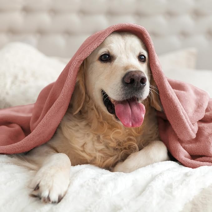 BEDELITE Fleece Blanket Soft Plush Throw for Couch Dusty Pink 50"x60" | Ultra Soft Fleece, Plush Microfiber, Lightweight Warmth, All Season Comfort, Fade Resistant, Machine Washable, Couch Sofa Bed