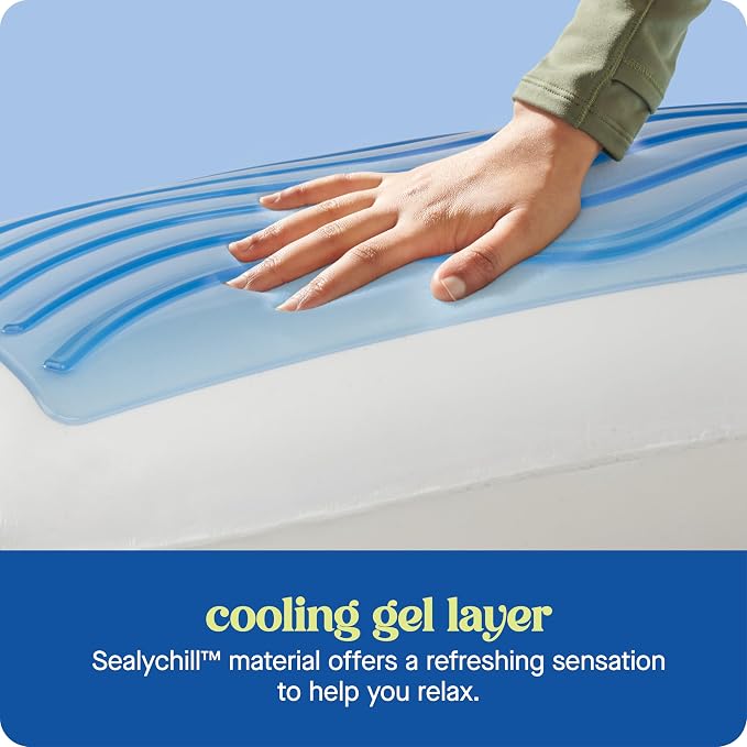 Sealy Dreamlife US Standard Size Memory Foam Cooling Pillow with SealyChill Cooling Gel, Removable Machine-Washable Cover, Made in the USA (2 Pack)