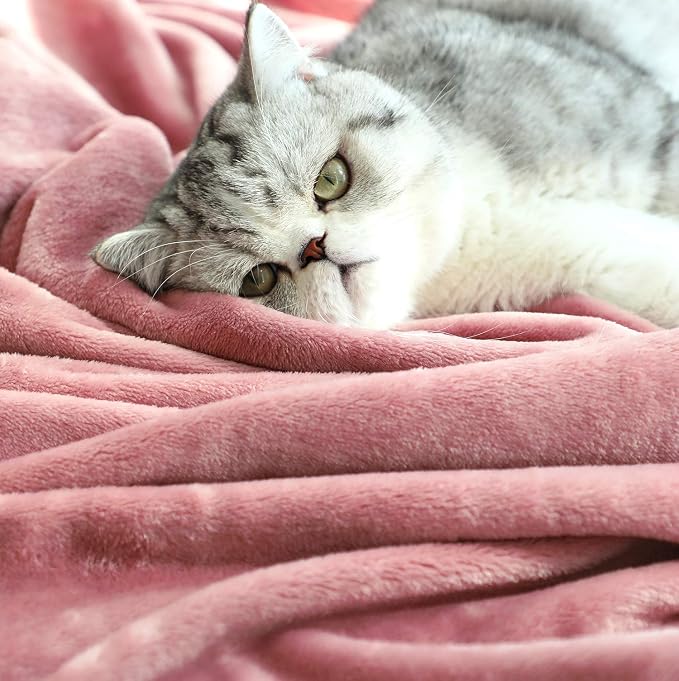 TASTHROW Large Flannel Fleece Throw Blanket, 50×70 Inch - Pink | Cozy Lightweight Thick Blanket - All Seasons Suitable for Women, Men and Kids (Two Pack)