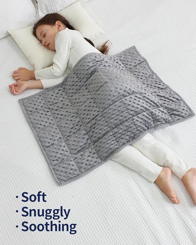 Mr. Sandman Weighted Blanket for Sleeping 2 lbs, 20 x 30 Inches | Soft Cooling Minky Dots; Machine Washable; Glass Bead Filling; Weighted Lap Blanket for School and Home; Grey