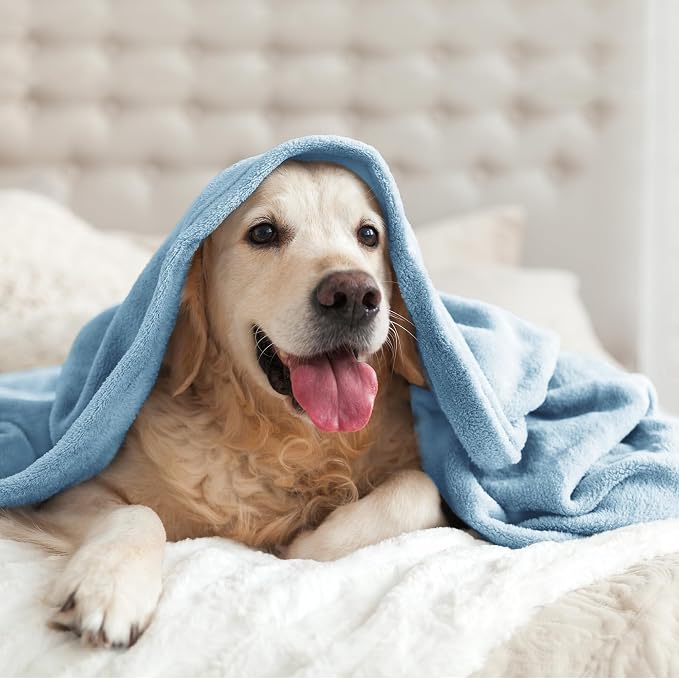BEDELITE Fleece Blanket Soft Plush King Bed Blanket Washed Blue 108"x90" | Ultra Soft Fleece, Plush Microfiber, Lightweight Warmth, All Season Comfort, Fade Resistant, Machine Washable