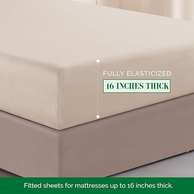 Elegant Comfort Luxurious 1500 Premium Hotel Quality Microfiber Three Line Embroidered Softest 4-Piece Bed Sheet Set, Wrinkle and Fade Resistant, Twin/Twin XL, Cream