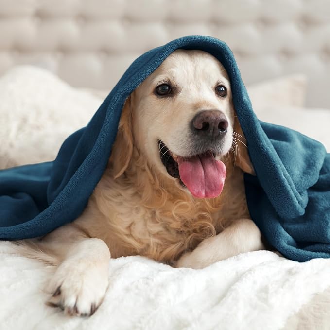 BEDELITE Fleece Blanket Soft Plush Twin Size Blanket Mineral Blue 60"x80" | Ultra Soft Fleece, Plush Microfiber, Lightweight Warmth, All Season Comfort, Fade Resistant, Machine Washable, Couch Sofa Bed