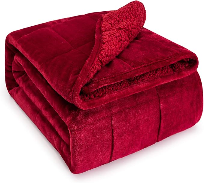 Sherpa Fleece Weighted Blanket for Adult 15lb Queen 60"x80" Burgundy | Deep Pressure Wraps, Relax Body & Mind, Better Sleep, Dual Sided Cozy Heavy Blanket, Soft Plush Flannel Top, Ideal Gift