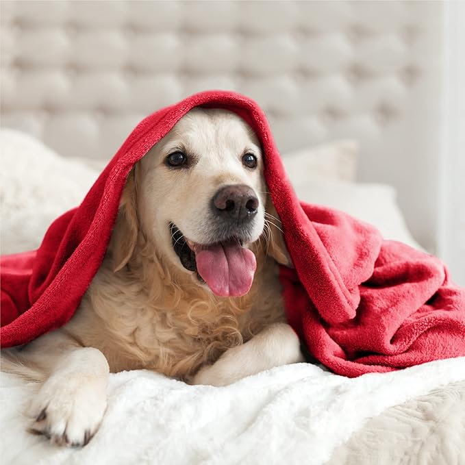 BEDELITE Fleece Blanket Soft Plush Twin Size Blanket Red 60"x80" | Ultra Soft Fleece, Plush Microfiber, Lightweight Warmth, All Season Comfort, Fade Resistant, Machine Washable, Couch Sofa Bed