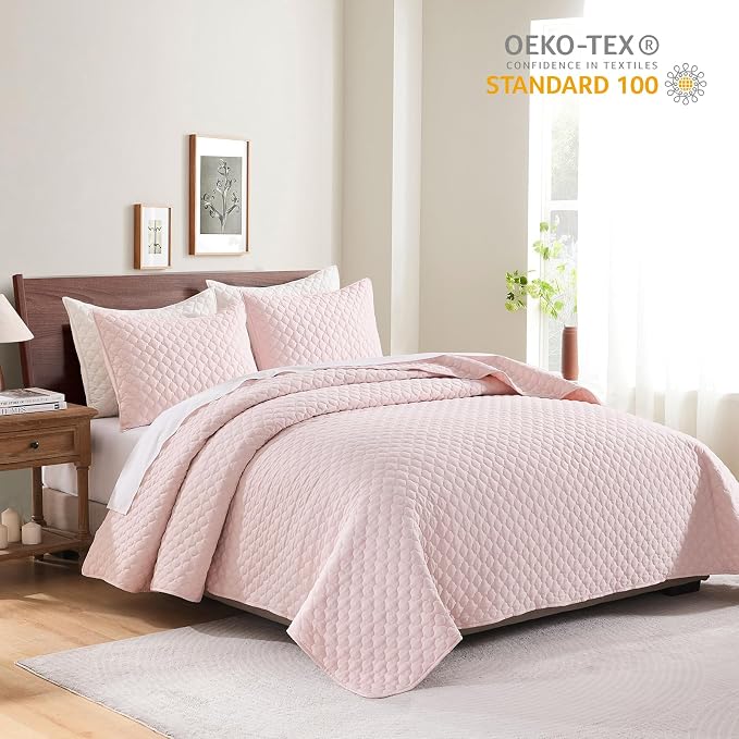 HORIMOTE HOME Quilt Queen Size Light Pink, Lightweight Quilts for Summer Ultra-Soft Microfiber Modern Style Quilted Clouds Pattern Bedspread Quit Set 3 Pieces(1 Quilt and 2 Pillow Shams)