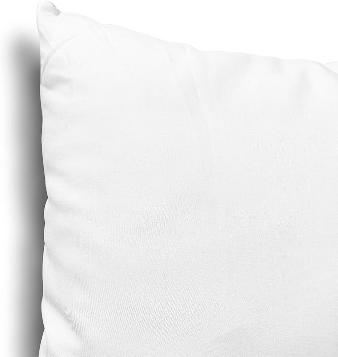 EDOW Throw Pillow Inserts, Set of 4 Lightweight Down Alternative Polyester Pillow, Couch Cushion, Sham Stuffer, Machine Washable. (White, 20x20)