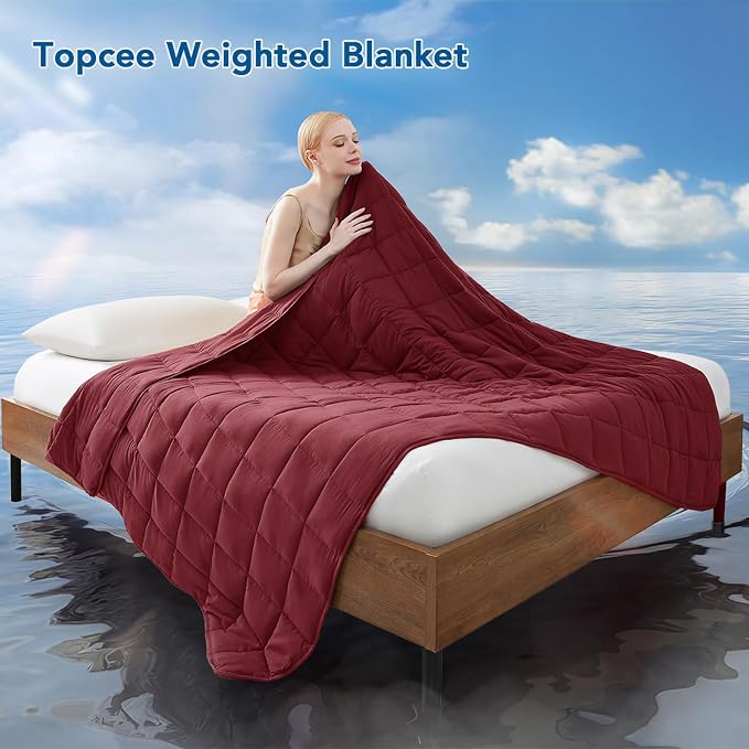 Weighted Blanket for Adults (25 lbs, 60" x 80") Queen Size Soft Cooling Heavy Blanket Sleeping, Apply to 240-260 lbs Body, Thick Breathable Blanket with Glass Bead, Easy Care