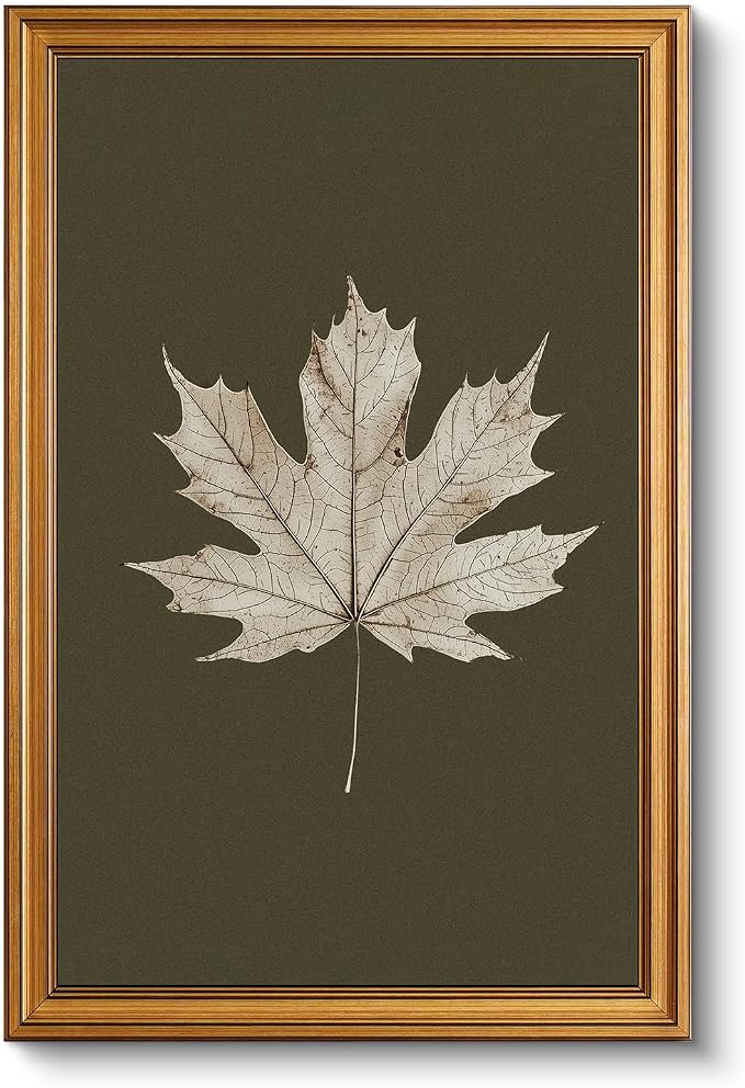 VIYYIEA Vintage Gold Framed Wall Art for Living Room, Maple Leaf Canvas Prints Home Decor, Oil Painting Picture, Bedroom Wall Decor Gifts for Friends or Family -【Maple Leaf Specimen】-(24L x 16W)