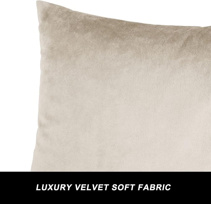 GIGIZAZA Velvet Champagne Throw Pillow Covers Decorative Cushion Covers Pillow Cases Sham for Sofa Couch (18x18inch(45x45cm)-4pcs, Champagne)
