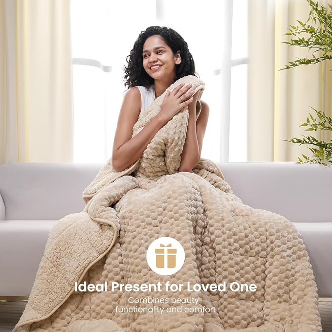 Drewin Weighted Blanket Queen Size 15lbs for Adults,Beige,60 x 80 inches | Stress Relief & Better Sleep,Soft Jacquard Sherpa with Glass Beads,Machine Washable,Great for Napping,Relaxing,Reading