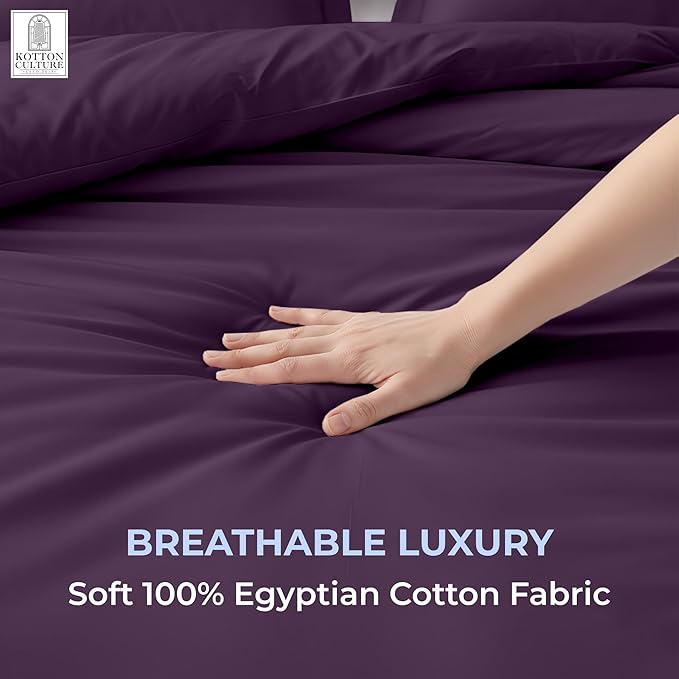 3 Pc Duvet Cover Queen Size/Full Size Set-100% Egyptian Cotton 600 Thread Count Ultra Soft Premium Durable Comforter Cover Zipper Closure & Corner Ties- (Plum, 90" X 90")