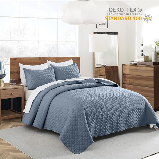 HORIMOTE HOME Quilt Queen Size Dusty Blue, Lightweight Quilts for Summer Ultra-Soft Microfiber Modern Style Quilted Clouds Pattern Bedspread Quit Set 3 Pieces(1 Quilt and 2 Pillow Shams)