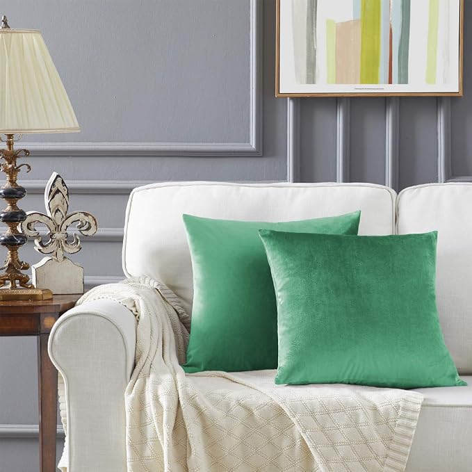 GIGIZAZA Decor Throw Couch Pillow Covers,Set of 2 Sofa Cushion Mint Turquoise Pillow Covers,Velvet Pillow Cases 24 x 24inch