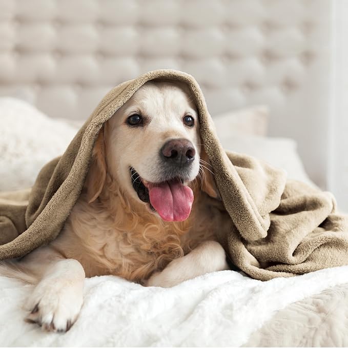 BEDELITE Fleece Blanket Soft Plush Throw for Couch Camel 50"x60" | Ultra Soft Fleece, Plush Microfiber, Lightweight Warmth, All Season Comfort, Fade Resistant, Machine Washable, Couch Sofa Bed