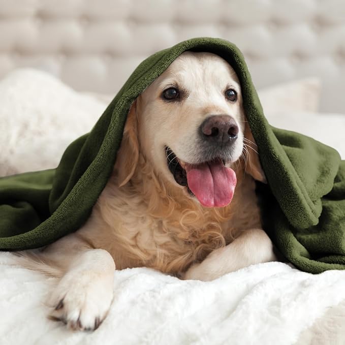BEDELITE Fleece Blanket Soft Plush Throw for Couch Olive Green 50"x60" | Ultra Soft Fleece, Plush Microfiber, Lightweight Warmth, All Season Comfort, Fade Resistant, Machine Washable, Couch Sofa Bed
