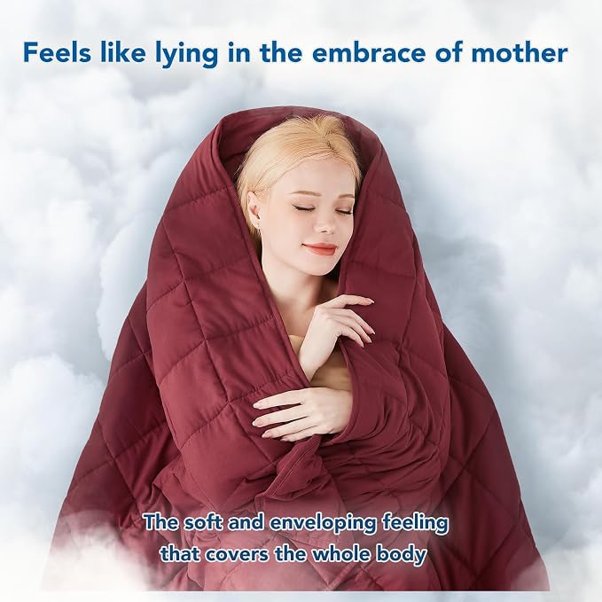 Weighted Blanket for Adults (25 lbs, 60" x 80") Queen Size Soft Cooling Heavy Blanket Sleeping, Apply to 240-260 lbs Body, Thick Breathable Blanket with Glass Bead, Easy Care