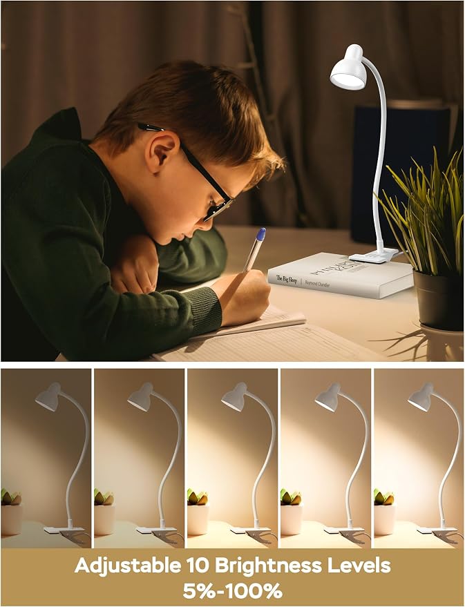 LiFMIRA Clip on Lamp USB Reading Light, Desk Lamp with Clamp White | 3 Color Modes, 10 Dimmable Brightness Eye Care Clamp Lamp with Flexible Gooseneck for Reading in Bed Desk Headboard Computer