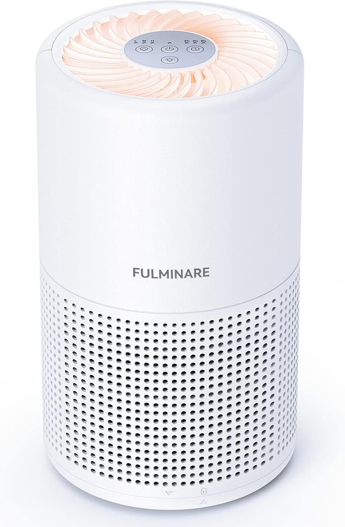 Air Purifiers for Bedroom, FULMINARE H13 True HEPA Filter | Remove Pet Hair, Smoke, Odors，Quiet Air Cleaner With Night Light, Portable Small Air Purifier for Home, Office, Living Room
