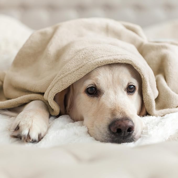 Hansleep Full Taupe Fleece Blanket, Soft Flannel Bed Blanket | Fuzzy Cozy Blanket 84x90 Inches, Multi-use for Bed, Sofa, Couch, Travel, Camping, All Season Warm Lightweight Cover