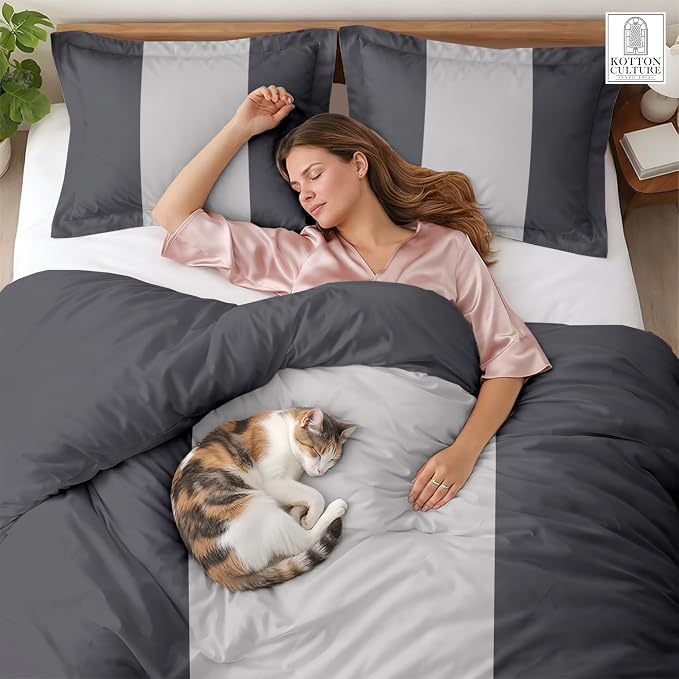 3 Pc Queen Size Duvet Cover Set-100% Egyptian Cotton 600 Thread Count Ultra Soft Premium Durable Comforter Cover Zipper Closure & Corner Ties (Dashing Grey, Queen/Full 90" X 90")