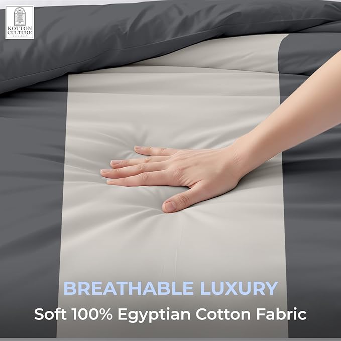 1 Pc King Size Duvet Cover Only -100% Egyptian Cotton 600 Thread Count Ultra Soft Premium Durable Comforter Cover Zipper Closure & Corner Ties (Dashing Grey, King 104"x94")
