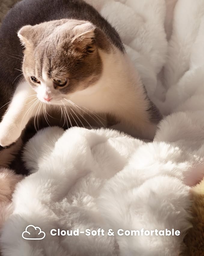 Ultra Soft Cozy Faux Fur Throw Blanket, Fuzzy Plush Thick Bubble Blanket, Oversize Luxury Fluffy Blanket for Couch, Bed, and Living Room, 60x80 Inches, Cream White