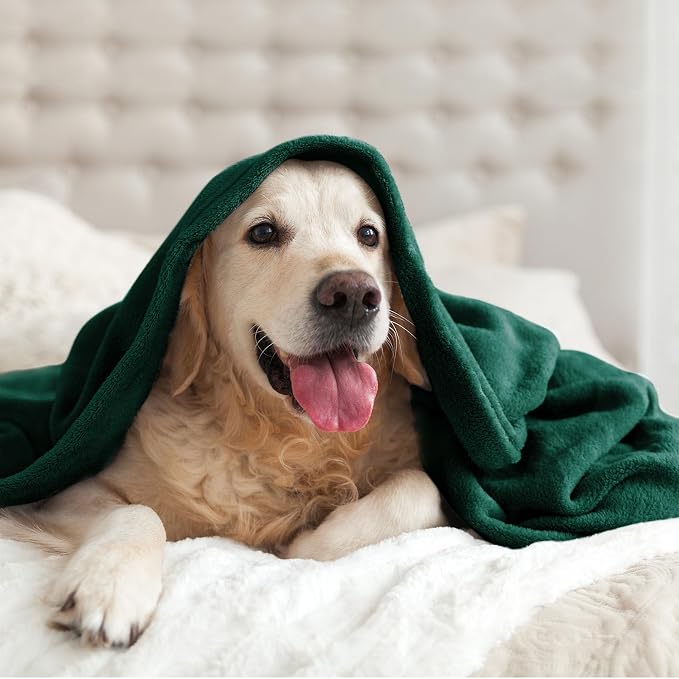 BEDELITE Fleece Blanket Soft Plush Throw for Couch Forest Green 50"x60" | Ultra Soft Fleece, Plush Microfiber, Lightweight Warmth, All Season Comfort, Fade Resistant, Machine Washable, Couch Sofa Bed