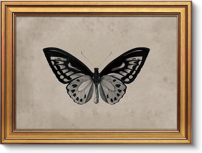 VIYYIEA Vintage Gold Framed Wall Art for Living Room,【Ornithoptera alexandrae】-(16L x 12W)