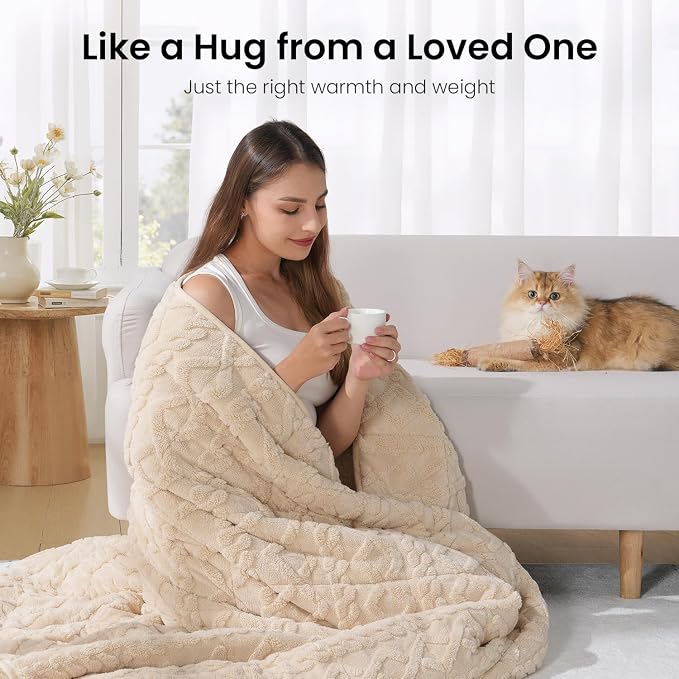 Drewin Weighted Blanket Queen Size 15lbs for Adults, Beige, 60 x 80 inches | Soft Jacquard Sherpa,Fluffy Cozy Sofa Throw Blankets for Sleep Natural and Calming,Machine Washable,Filled with Glass Beads