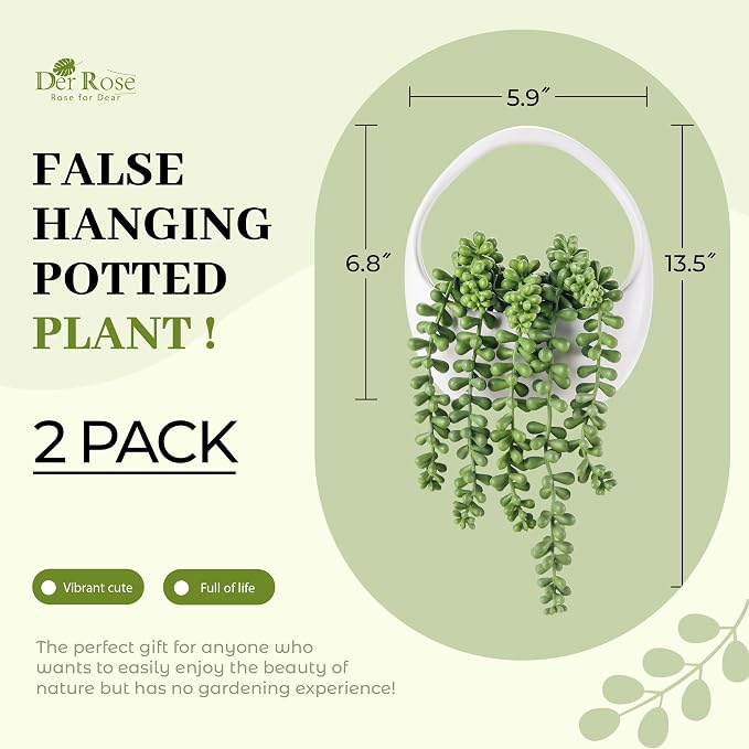 Der Rose 2 Pack Artificial Hanging Plants in White Pots for Boho Wall Decor | Mixed trailing succulent styles, included hanging strings,wall or shelf display for bathroom bedroom office decor