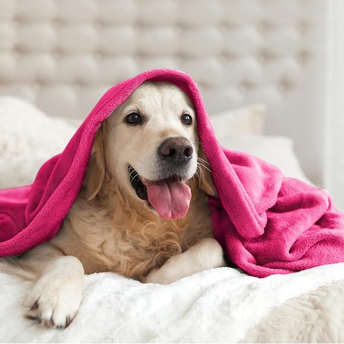 BEDELITE Fleece Blanket Soft Plush Throw for Couch Hot Pink 50"x70" | Ultra Soft Fleece, Plush Microfiber, Lightweight Warmth, All Season Comfort, Fade Resistant, Machine Washable, Couch Sofa Bed