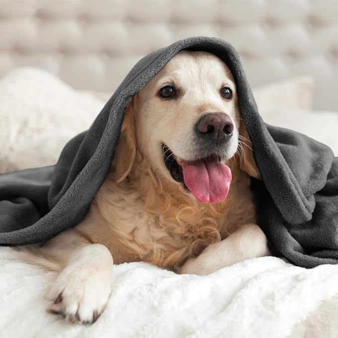 BEDELITE Fleece Blanket Soft Plush Throw for Couch Charcoal Grey 50"x70" | Ultra Soft Fleece, Plush Microfiber, Lightweight Warmth, All Season Comfort, Fade Resistant, Machine Washable, Couch Sofa Bed