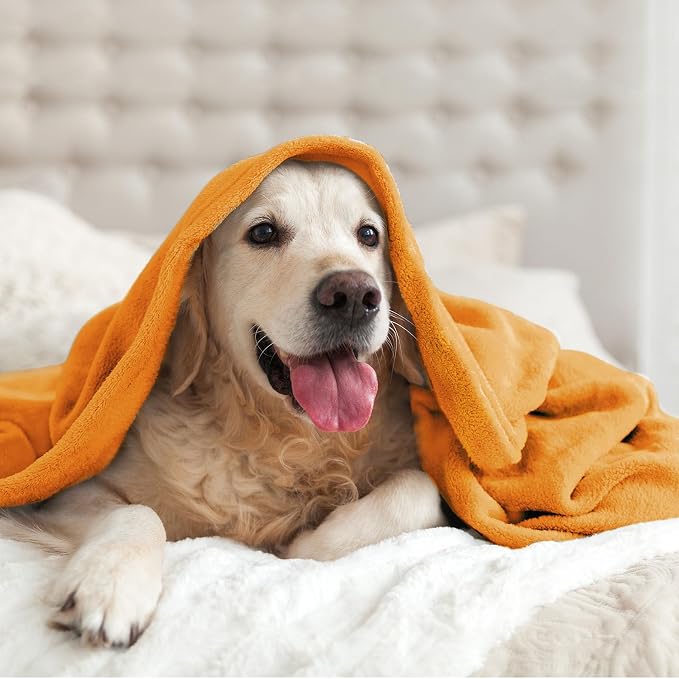 BEDELITE Fleece Blanket Soft Fall King Bed Blanket Burnt Orange 108"x90" | Ultra Soft Fleece, Plush Microfiber, Lightweight Warmth, Fall Decor, Fade Resistant, Machine Washable, Perfect for Bed