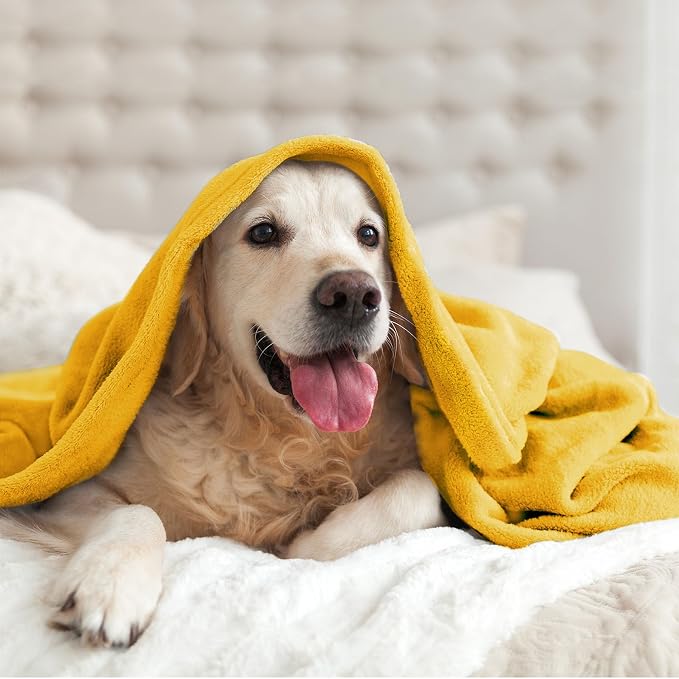 BEDELITE Fleece Blanket Soft Plush Twin Size Blanket Yellow 60"x80" | Ultra Soft Fleece, Plush Microfiber, Lightweight Warmth, All Season Comfort, Fade Resistant, Machine Washable, Couch Sofa Bed