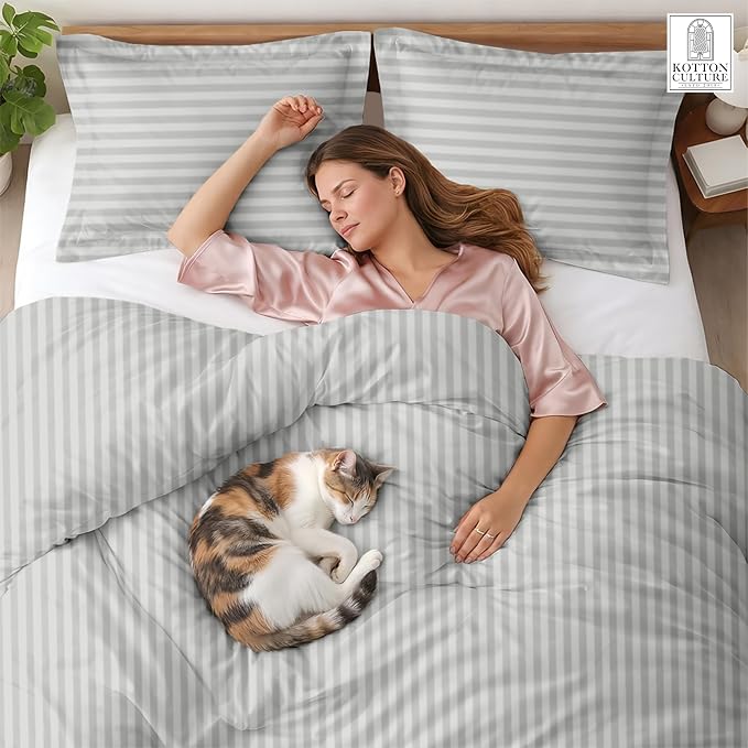 3 Pc King Size Duvet Cover Set- 100% Egyptian Cotton 600 Thread Count Ultra Soft Premium Durable Comforter Cover Zipper Closure & Corner Ties (Striped Silver, King 104"x94")