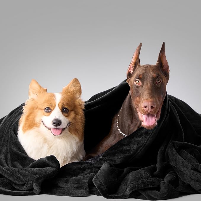 Hansleep King Black Fleece Blanket, Soft Flannel Bed Blanket | Fuzzy Cozy Blanket 90x108 Inches, Multi-use for Bed, Sofa, Couch, Travel, Camping, All Season Warm Lightweight Cover