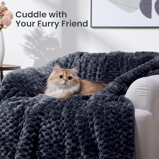 Drewin Weighted Blanket for Adults 60" x 80" 15lbs Fuzzy Blankets Dark Grey | Stress Relief & Better Sleep,Soft Jacquard Sherpa Fleece Heavy Blanket Queen Size, Machine Washable,for Napping & Relaxing
