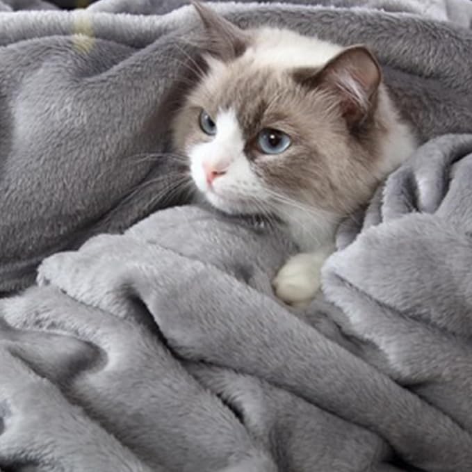 Hansleep Queen Grey Fleece Blanket, Soft Flannel Bed Blanket | Fuzzy Cozy Blanket 90x90 Inches, Multi-use for Bed, Sofa, Couch, Travel, Camping, All Season Warm Lightweight Cover