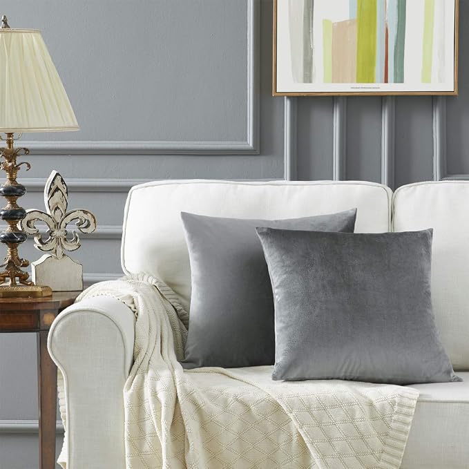 GIGIZAZA Decorative Throw Pillow Covers 20 x 20, Deep Grey Sofa Pillow Covers Velvet, Set of 4 Decor Square Cushion Covers