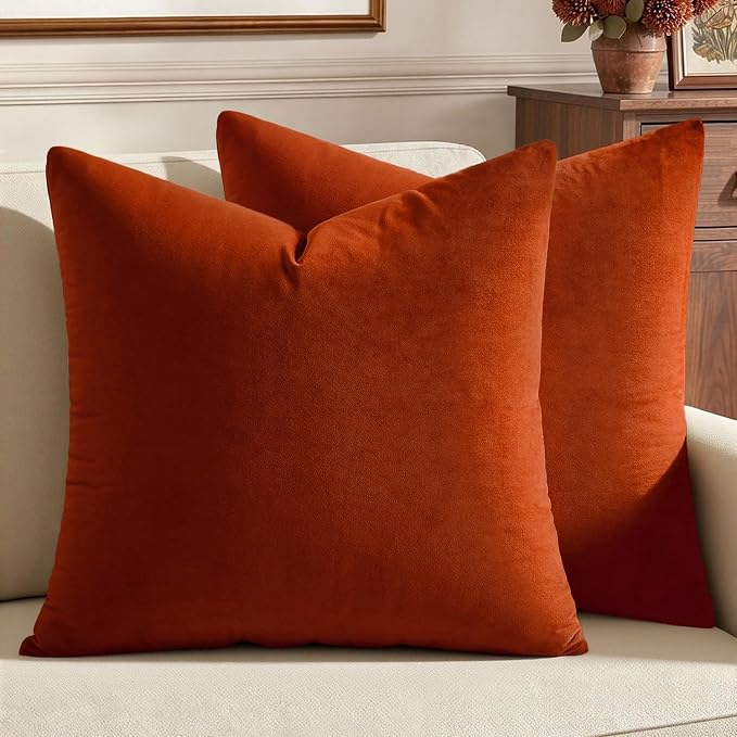 MIULEE Velvet Fall Throw Pillow Covers 20x20 Inch Pack of 2 Burnt Orange | Soft Solid Decorative Pillow Covers, Modern Luxury Home Decor, for Couch Chair Sofa Bedroom Livingroom