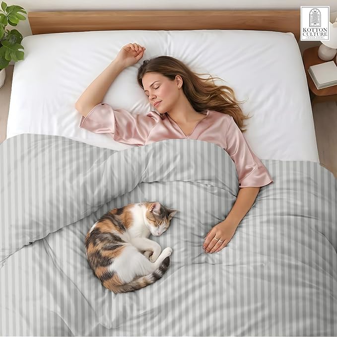 1 Pc California King Size Duvet Cover Only -100% Egyptian Cotton 600 TC Ultra Soft Premium Durable Comforter Cover Zipper Closure & Corner Ties (Striped Silver,104"x98")