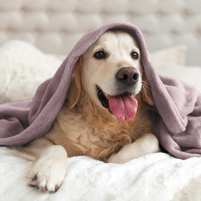 BEDELITE Fleece Blanket Soft Plush Twin Size Blanket Dusky Violet 60"x80" | Ultra Soft Fleece, Plush Microfiber, Lightweight Warmth, All Season Comfort, Fade Resistant, Machine Washable, Couch Sofa Bed