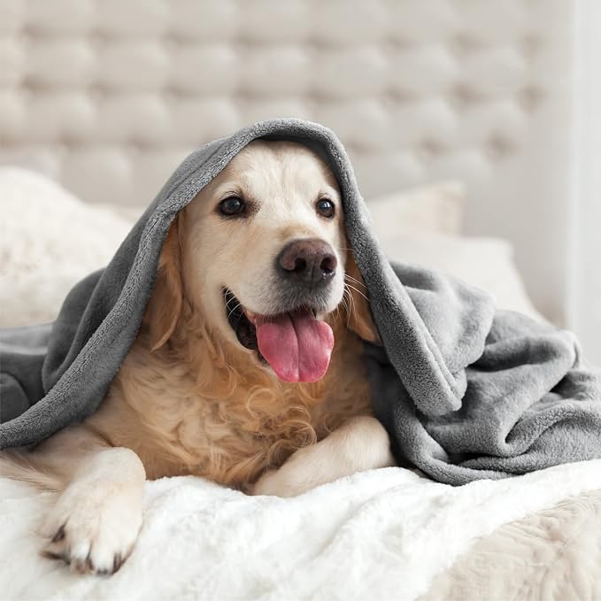 BEDELITE Fleece Blanket Soft Plush King Size Bed Blanket Grey 108"x90" | Ultra Soft Fleece, Plush Microfiber, Lightweight Warmth, All Season Comfort, Fade Resistant, Machine Washable