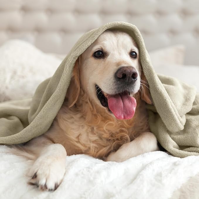 BEDELITE Fleece Blanket Soft Plush Throw for Couch Linen Brown 50"x60" | Ultra Soft Fleece, Plush Microfiber, Lightweight Warmth, All Season Comfort, Fade Resistant, Machine Washable, Couch Sofa Bed