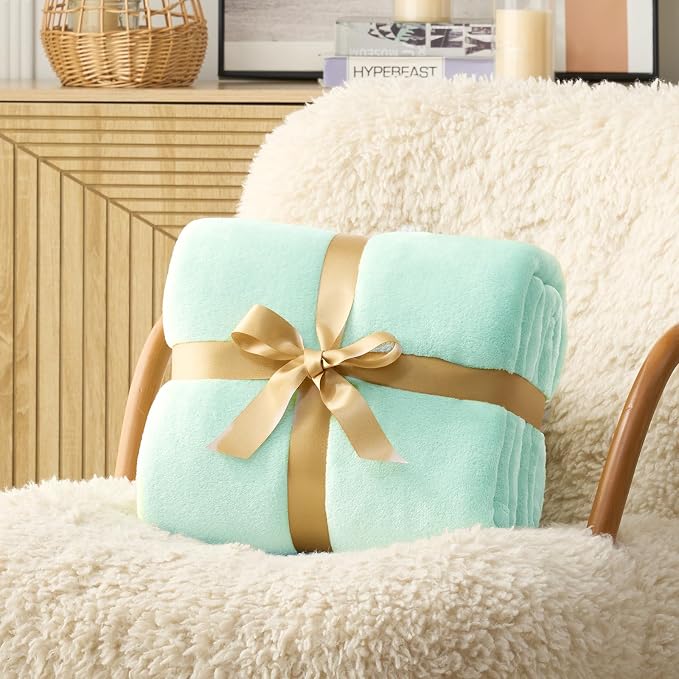 Hansleep Twin Mint Green Fleece Blanket, Soft Flannel Bed Blanket | Fuzzy Cozy Blanket 60x80 Inches, Multi-use for Bed, Sofa, Couch, Travel, Camping, All Season Warm Lightweight Cover