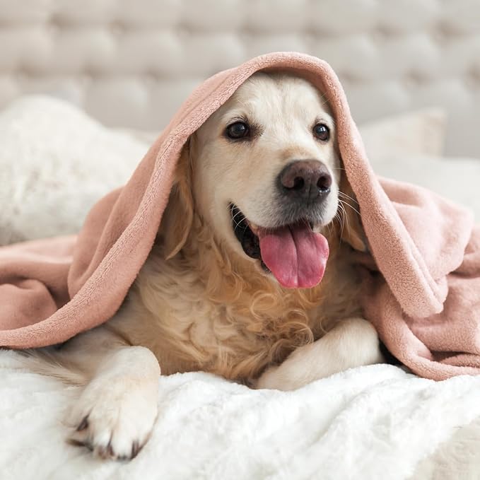 BEDELITE Fleece Blanket Soft Plush Throw for Couch Pink Morn 50"x60" | Ultra Soft Fleece, Plush Microfiber, Lightweight Warmth, All Season Comfort, Fade Resistant, Machine Washable, Couch Sofa Bed