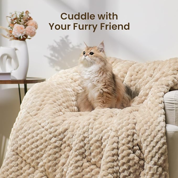 Drewin 20lbs Weighted Blanket Queen Size for Adults,Beige,60 x 80 inches | Stress Relief & Promotes Sleep,Cozy Heavy Throw Blankets,Soft Jacquard Sherpa with Glass Beads,Machine Washable