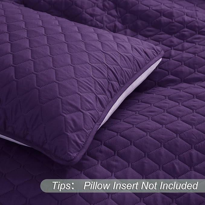 Exclusivo Mezcla Reversible Full Queen Quilt Bedding Set, Deep Purple | Lightweight Bedspreads with 2 Pillow Shams, Soft Microfiber, All Season Bed Coverlets for Bedroom Guest Room, 90x96 Inch