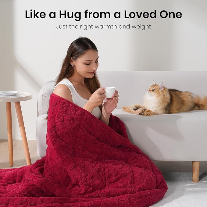 Drewin Weighted Blanket Queen Size 15lbs for Adults,Red,60 x 80 inches | Stress Relief & Better Sleep,Soft Jacquard Sherpa with Glass Beads,Machine Washable,Great for Napping,Relaxing,Reading